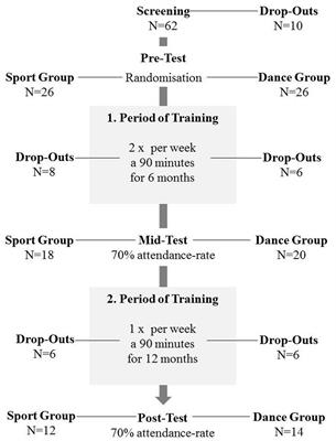 Dancing or Fitness Sport? The Effects of Two Training Programs on Hippocampal Plasticity and Balance Abilities in Healthy Seniors